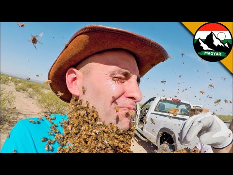 A MÉHRAJJAL VALÓ TALÁLKOZÁS nem a tervek szerint alakult! Brave Wilderness Magyar