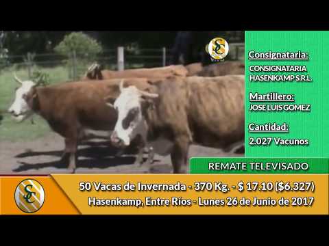 26-06-17 - Remate Televisado de Consignataria Hasenkamp - E. Ríos