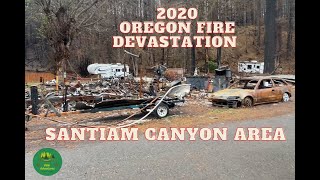 Beechie Creek and Lyons Head Burn Areas in The Santiam Canyon