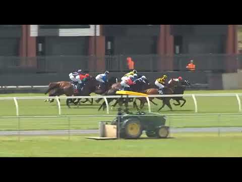 Ellerslie Race 3 Results & Replay | Nocturne Takes the Win (25 Oct 2025)