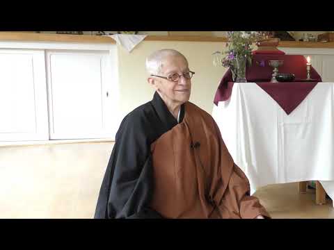 Interview mit Dagmar Doko Waskönig "Blueprints for Zen practice"