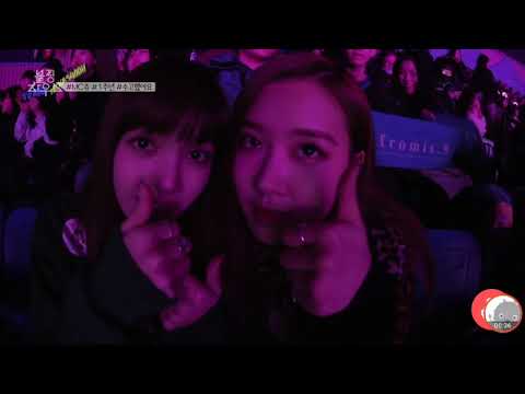 LISA and ROSE react to MC JISOO!!