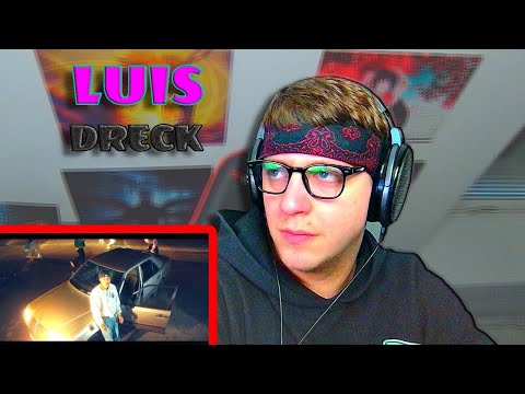 ProjektPi REACTS to LUIS – DRECK