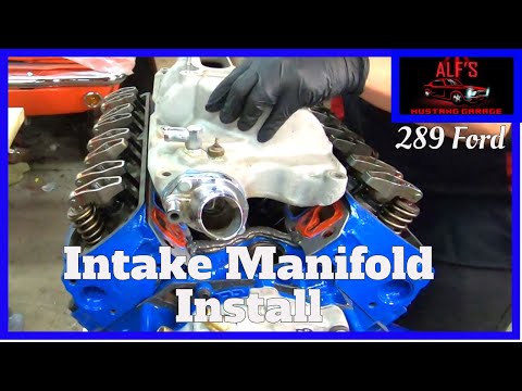 How to Install Intake Manifold - Rebuild the 289 Ford - Part 19