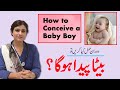 Trying To Conceive Baby Boy Methods To Select Baby Gender Dr Maryam Raana Gynaecologist