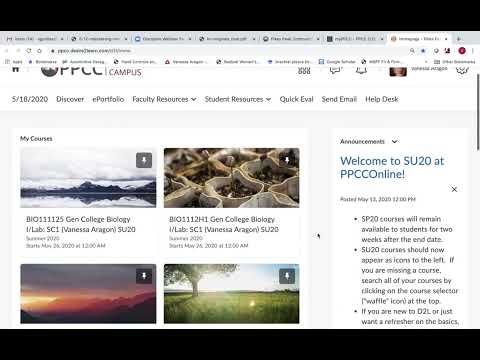 D2l Ppcc