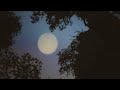 Vetiver Swaying Official Music Video