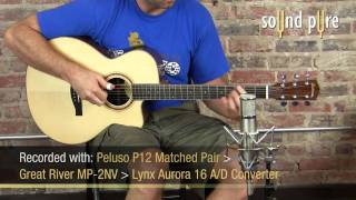 Video thumbnail for Peluso P12 Tube Mic at Sound Pure by soundpurestudios