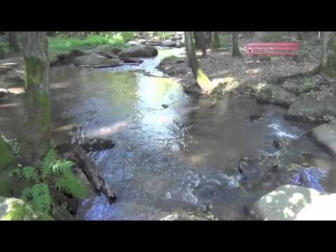 Wandern durch das Lerautal