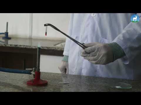 Regular Friday | To Detect Foreign Elements Present In A Given Organic Compound By Lassaigne’s Test.