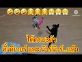 หวย