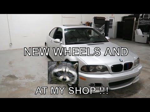 New Wheels for my BMW E46 M3 | Raccoon At my Shop !