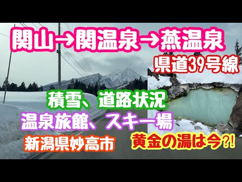2024年1月31日 妙高市関山→関温泉→燕温泉 積雪、道路状況 スキー場、温泉地 黄金の湯は今⁈ 少雪シーズン 新潟県