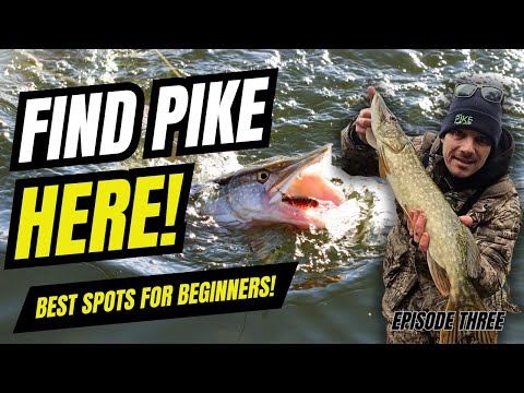 Where to find Pike (even if you've never fished before!)