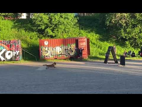 Xena JK3 tottis (osa 2) 16.6.2021