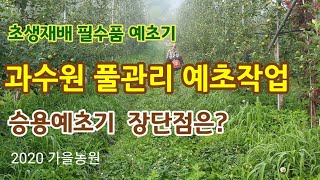 사과 과수원 풀관리 초생재배 승용예초기 [사과재배]