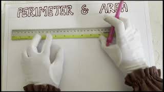 Area and Perimeter chart | Maths Activity for Class 5 | TLM Mathematics #tlmforprimaryschool #diy