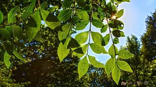 2..침묵(음소거)