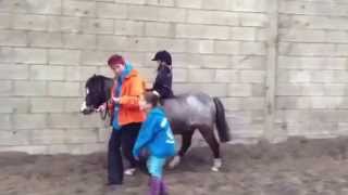 Archie  Trimble,  age 4years , 4 legs instead of 4 wheels , part 2