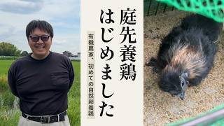 【庭先養鶏】有機農家がゼロから挑む！初めてのヒヨコ育成