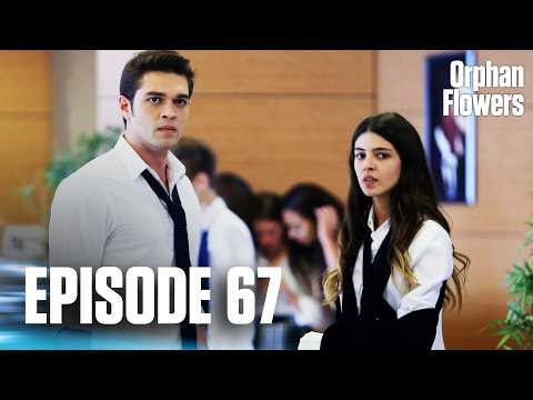Kırgın Çiçekler I Orphan Flowers - Episode 67