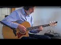 "Stateline Blues" by Stephen Stills - Ray John - 2013