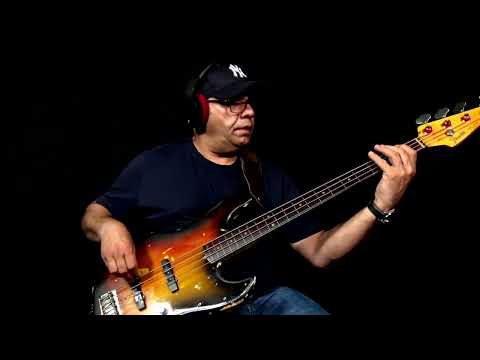 Bireli Lagrene - Jaco Pastorius Style Bass -  The Chicken (Bassline Lesson Excerpt)