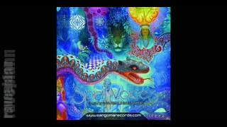 Psytrance Spirit Voices Sangoma Records DJ Mix