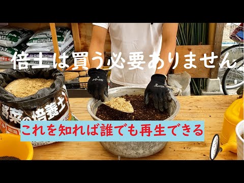 古い培養土はまだ使えますか? トピックス