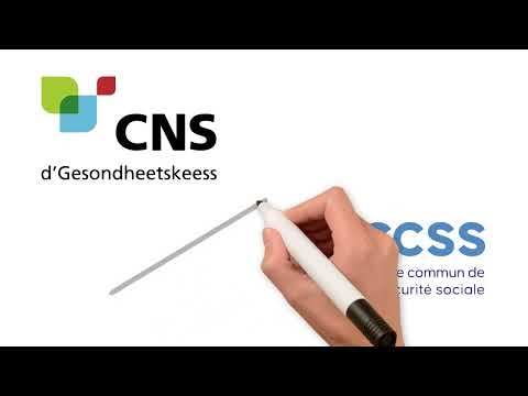 🇫🇷 CNS vs CCSS