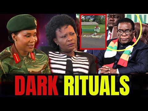 Ritual items found outside Zimbabwe's Parliament