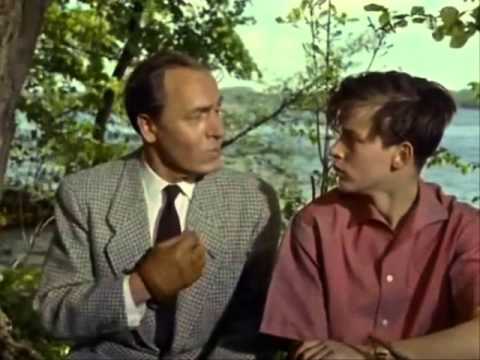 Jerry B. Anderson 's Next Immenhof Synchro