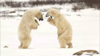 JW3TR Spitsbergen Island. From dxnews.com