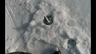 Подледная ловля хариуса на реке