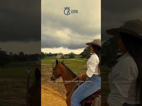 campo Alegre 🦋 - Lotes Campestre en Arjona Bolivar 📱 +57 3146480528