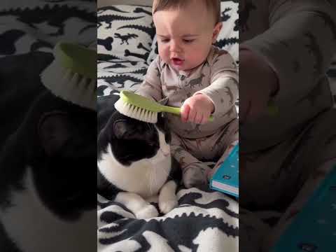 The little one is so cute. #cat#baby#warm