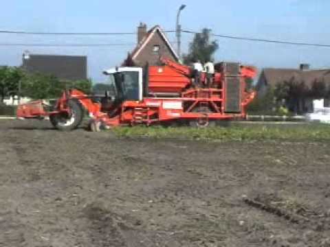 Vandemaele: Aardappelrooien.