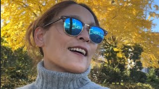 walking underneath the ginkgo trees