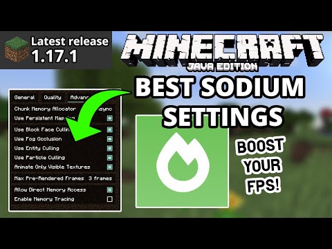 Boost FPS with Secret Sodium Settings in Minecraft 1.17.1!