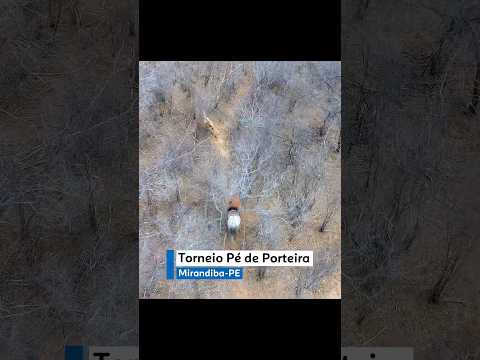 Torneio Pé de Porteira em Mirandiba no Pernambuco #vaqueiro #cavalo #drone #pegadeboinomato