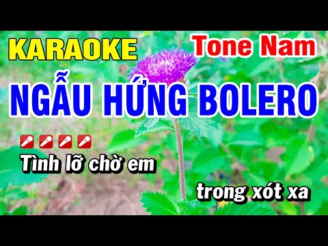 Karaoke Ngẫu Hứng Bolero Nhạc Sống Tone Nam Chuẩn | Hoài Phong Organ