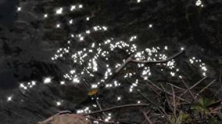 Merril Bainbridge - Lonely (home made music video)