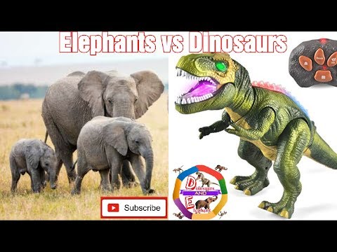 Elephants vs Dinosaur | Dinosaurs vs Elephants | Animals Fight | Trex vs Elephants