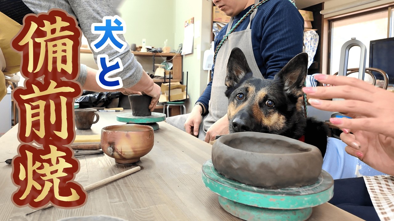 愛犬と備前焼作ってみたら楽しすぎました！【岡山・牛窓】