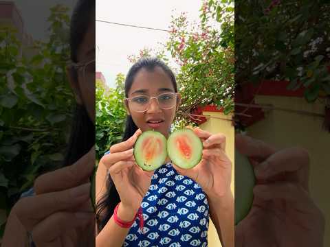 Garden ka last Tarbuj kha payenge? #plants #gardening #gardeningtips