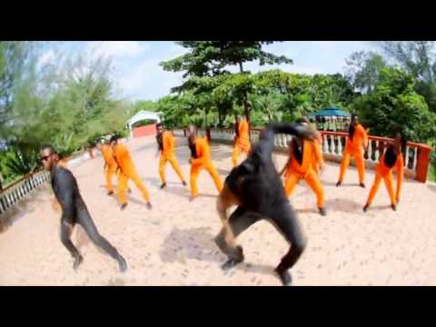 Seal De Green feat TooFan Crew - African Vibes(Video Mix)
