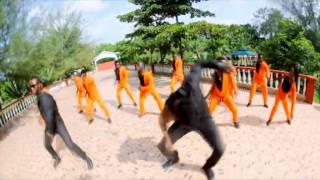 Seal De Green feat TooFan Crew - African Vibes(Video Mix)
