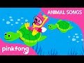 Under the Sea | Animal Songs | Pinkfong Songs for Children