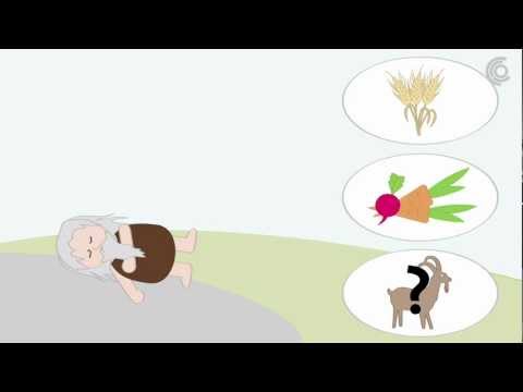 Der Mann aus dem Eis: Wie starb Ötzi?