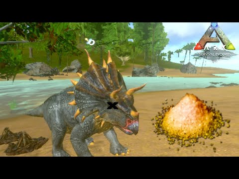 Dando uma cheirada no pó O_o | Mundo Seguntivo - Ep. 4